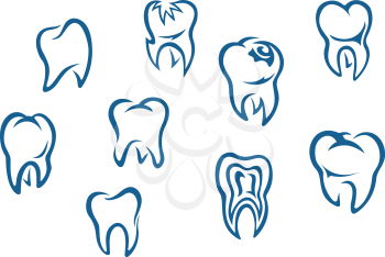 Human teeth set isolated on white background for dental medicine background
