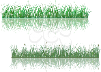Green grass patterns with reflections for environment or ecology design
