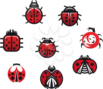 Ladybugs and ladybirds set in icon style isolated on white background