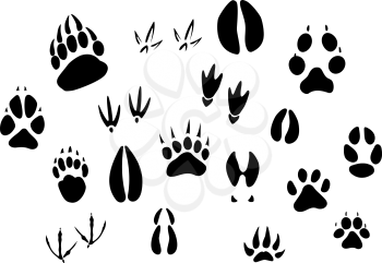 Animal - birds and mammals - footprints silhouettes set isolated on white background