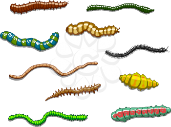 Worms, slugs and caterpillars set in cartoon style