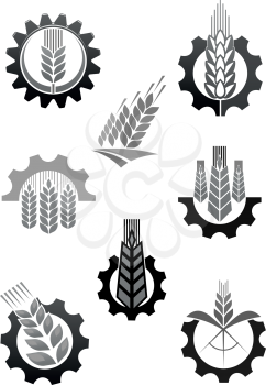 Agriculture and farming icons of wheat or rye ear and cogwheel. Grain milling factory and harvesting plant or farm house vector machine wheel tire symbol templates