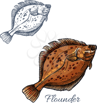 Flounder fish isolated sketch. Brown flatfish or sand flounder fish with dark spots. Predatory marine animal for seafood market label or fishing sport symbol design