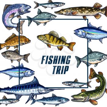 Fishing trip vector sketch poster for fisher club members. Design template of ocean or sea fishes herring trout, bream or tuna and marlin, salmon or pike and sheatfish on white frame background