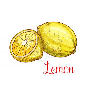 Lemon citrus fruit sketch. Fresh lemon fruit isolated icon with bright yellow zest and juicy slice. Tropical citrus fruit for farm market, juice and lemonade label design