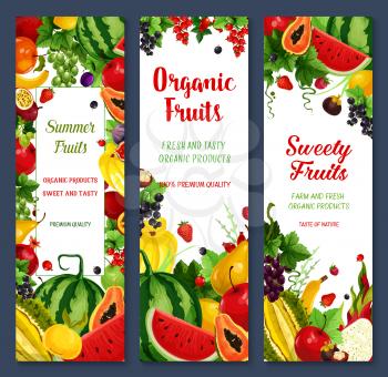Fresh exotic fruits and berries vector banners. Farm harvest of watermelon and peach, tropical papaya and pineapple, apricot or apple and pomegranate, mango, banana, red currant or strawberry and avoc