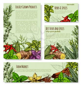 Herbs and spices posters or banners templates for shop or seasonings market. Vector organic bay leaf, chili pepper and tarragon or thyme and basil. Natural herbal spicy sage, rosemary or vanilla