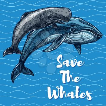 Save whales poster for sea animal saving concept. Vector design of sperm whale and cachalot mammals swimming on blue water waves for underwater fauna and wild nature poaching protection