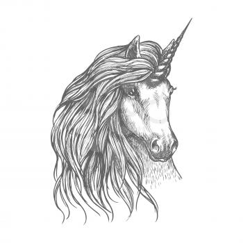 Unicorn fantastic horse isolated sketch. Head of magic horned horse with wavy long mane. Tattoo, t-shirt print, fairytale or legend design