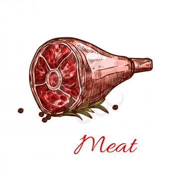 Hind quarter ham raw meat sketch icon. Vector raw beef or port leg meat loin on bone or tenderloin steak and lamb gammon for butchery shop and framer meat product or restaurant design