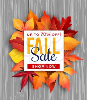Autumn sale poster of fall foliage bunch on wooden background for seasonal shop discount promo. Vector design of maple, chestnut or poplar and oak leaf with sale 70 percent price offer sale design