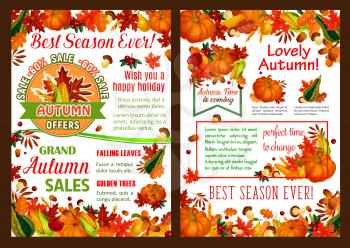 Autumn harvest sale poster for seasonal farm market discount or shopping promo. Vector design of fall pumpkin, autumn corn or maple leaf and oak acorn in falling leaves, rowan berry or grape and fruit