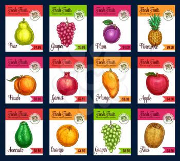 Fruits price cards for farm fruit market. Vector sketch pear, grape or plum and tropical pineapple, peach or apricot and garnet harvest, exotic mango, avocado and kiwi, lemon or orange citrus