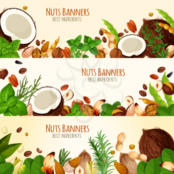 Nuts and fruit seeds banners. Vector set of coconut, walnut or peanut and hazelnut, almond nut or pistachio and bean legume pod, pumpkin or sunflower seeds and macadamia or filbert kernel nut