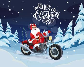 Santa riding motorcycle vector design. Christmas Claus delivering Xmas and New Year gifts on motorbike through winter holiday forest and snowy pine trees greeting card with wishes of Merry Christmas