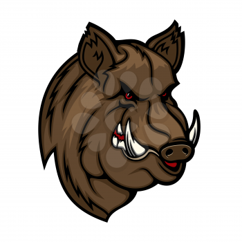 Wild boar, pig or hog mascot with head of forest animal. Vector icon of angry swine with evil grin, sharp tusks and brown fur. Hunting club and sport team symbol design