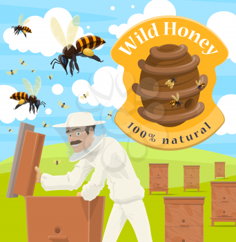 Beekeeper at apiary taking natural honey poster for beekeeping. Man in white protective outfit with wooden honeycomb or at beehive with bees flying around on farm or ranch, wild hive and sign vector