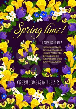Spring time season greeting poster in floral frame. Blooming flower bunch of crocus, pansy, calla lily and jasmine branch, garden plant blossom and green leaf for Spring Holiday banner template design