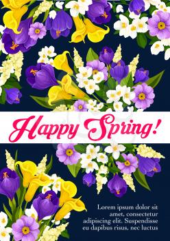 Happy Spring best wishes poster of daffodils, tulips and crocuses bouquet. Vector floral design of springtime seasonal snowdrops, crocuses or violets and hibiscus flowers in bloom