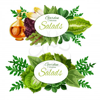 Leafy vegetables and salad greens of healthy nutrition and vegetarian food. Spinach, lettuce and arugula, chard, chinese cabbage and sorrel, chicory and botavia leaves bunches. Leafy veggies vector