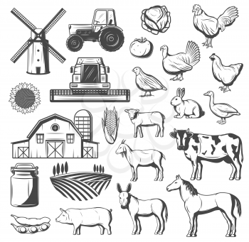 Farming, agriculture and cattle icons. Vector tractor, windmill or grain barn and arable field, farm animals cow and horse, pig and chicken, turkey, duck and goose, tomato and potato veggies