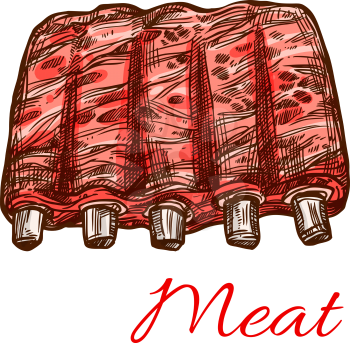 Meat sketch icon of mutton or pork fresh meaty ribs. Vector isolated veal hind quarter, beef loin or tenderloin filet of chicken or turkey meat for butchery shop or farmer market