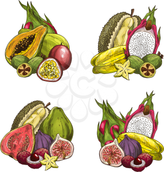 Exotic tropical fruits icons. Vector set of papaya, feijoa or passionfruit, durian and fig, lychee or guava and carambola starfruit, tamarillo or granadilla and dragon fruit or mango for fruit market