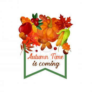 Autumn Time is coming poster of pumpkin, corn or cherry berry harvest, maple leaf or poplar and birch foliage, oak acorn and rowanberry. Vector design template of seasonal autumn holiday greeting card