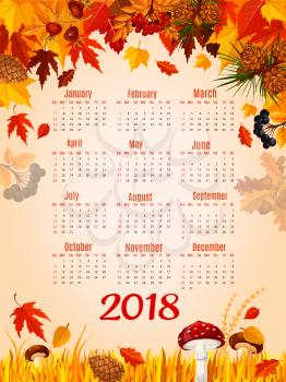 Autumn leaves calendar 2018 poster. Vector design template of autumn maple leaf, oak acorns or rowan berry harvest and mushrooms in birch, aspen or elm forest nature with fir and pine cones