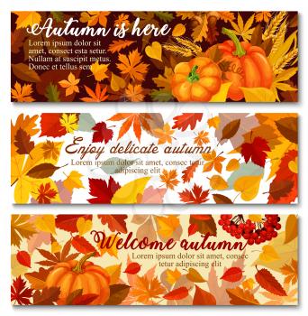 Autumn pumpkin with fallen leaf banner set. Orange maple leaf, pumpkin vegetable, ripe wheat and branch with acorn and rowanberry greeting card for Thanksgiving Day or autumn season harvest design