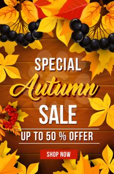 Autumn sale 50 percent off discount poster for September seasonal shopping promo. Vector autumn maple, oak acorn or poplar and aspen tree leaf foliage background with falling leaves and berry harvest