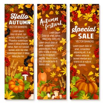 Autumn harvest vegetable and leaf banner set on wooden background. Fall season festival and sale offer poster design with maple foliage, pumpkin, mushroom, rowan berry branch and pine cone