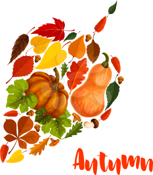 Autumn leaf symbol or poster of pumpkin harvest and fall foliage of maple, birch or chestnut and elm tree. Vector design of oak acorn, rowan berry and amanita or porcini cep and chanterelle mushrooms