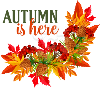 Autumn is here quote and foliage wreath of maple, birch or rowan berry harvest, oak acorn or elm and aspen tree leaf. Vector pine or fir cone design for seasonal autumn greeting card or holiday poster