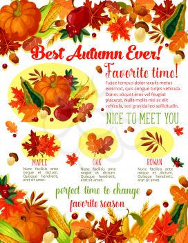 Autumn Time wishes quotes poster template for seasonal holiday greeting. Vector autumn harvest of pumpkin, corn or forest mushroom and rowan berries, maple or birch and poplar leaf fall and oak acorns