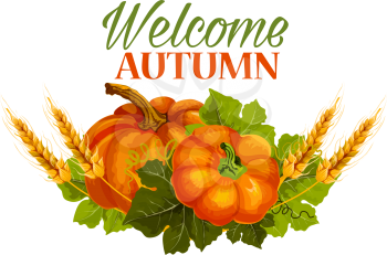 Welcome Autumn seasonal greeting card of pumpkin, rye and wheat grain harvest on foliage. Vector isolated pumpkin vegetable leaf for autumn or fall season holiday design template