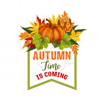 Autumn Time is coming poster for seasonal greeting card design. Vector pumpkin or rowan berry fall harvest, maple leaf foliage or oak acorn and falling leaves of poplar and chestnut for autumn holiday
