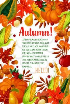 Hello Autumn poster with fall season frame. Autumn leaf, orange pumpkin vegetable, apple fruit, yellow maple foliage, mushroom, acorn, cranberry, wheat and corn cob banner with copy space in center