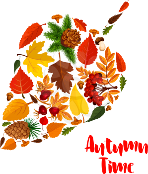Autumn leaf poster with fall season foliage. Orange maple leaves, forest acorn and mushroom, yellow foliage of chestnut tree, briar and rowan berry, pine and fir cone for fall season nature design