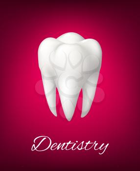 White tooth 3D realistic vector isolated icon or poster for dentistry clinic or dental medical office. Symbol of healthy clean tooth for toothpaste or medical teeth treatment product design