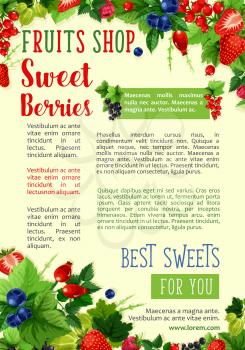 Berries poster for farm fruit shop. Vector berry fruits harvest of red and black currant or gooseberry and raspberry, garden strawberry or forest cherry and cranberry or blueberry and blackberry