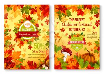 Autumn sale seasonal discount promo poster for shopping festival price off. Vector design of maple and birch leaf, pumpkin and rowan berry harvest, mushroom amanita or chanterelle and oak acorn