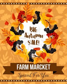 Autumn season sale banner with fall leaf and berry wreath. Promotion poster of autumn leaves, rowan berry branch and foliage of maple frame with ribbon banner for autumn harvest discount offer design
