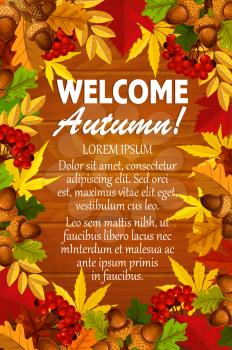 Welcome Autumn poster template of seasonal foliage fall. Vector greeting card design of maple, poplar or chestnut and birch leaf, oak acorn and rowan berry harvest on wooden background
