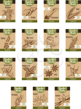 Spice and garden herb discount tag and label. Basil, rosemary and chili pepper, thyme, mint and cinnamon, vanilla, ginger and star anise, dill, oregano, sage, cumin and tarragon sketch price card