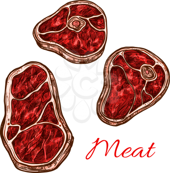 Meat beefsteak or tenderloin filet isolated icons for butchery shop or farm meat. Vector sketch beef steak sirloin, pork brisket schnitzel or bacon lump and veal hind quarter flesh on bone