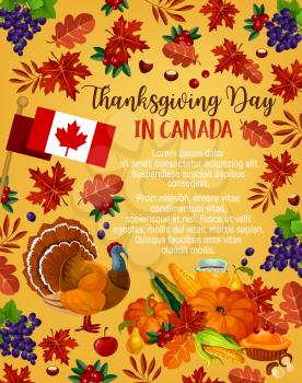 Thanksgiving day in Canada greeting poster. Vector design of Canadian flag, traditional holiday turkey and fruit pie, pumpkin, corn and berry or grape fruit harvest, maple or rowan leaf and oak acorn