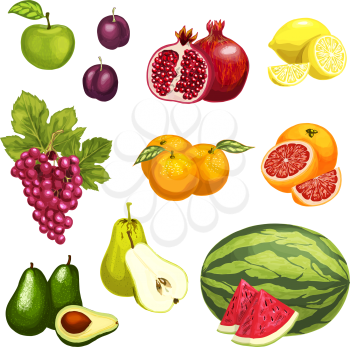 Exotic tropical fruits isolated flat icons. Vector set apple, plum or pear and lemon citrus orange and grapefruit, pomegranate garnet, watermelon or avocado and grape for farm market or fresh juice