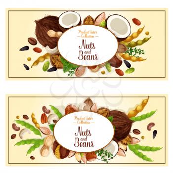 Nuts and fruit seeds or beans banners. Vector set of walnut, peanut or coconut and hazelnut, pistachio or almond nut legume bean pod, pumpkin or sunflower seeds and macadamia or filbert nut