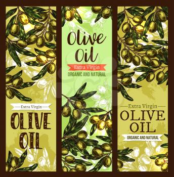 Olive oil extra virgin product sketch banners design template. Vector green olives for organic oil organic Portuguese or Italian and Spanish cooking olive oil bottle labels or cuisine